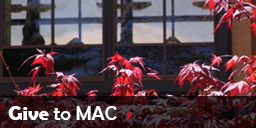 Give to MAC